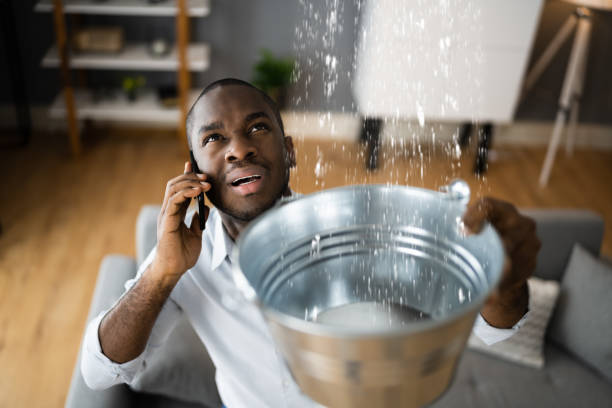 Best Fire Damage Restoration  in Interlaken, CA