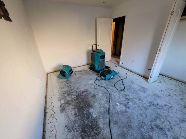 Best Water damage restoration near me  in Interlaken, CA