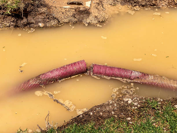 Trusted Interlaken, CA Water damage restoration Experts