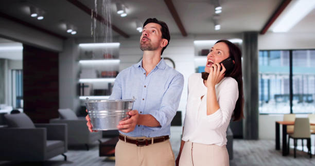 Best Professional water damage repair  in Interlaken, CA
