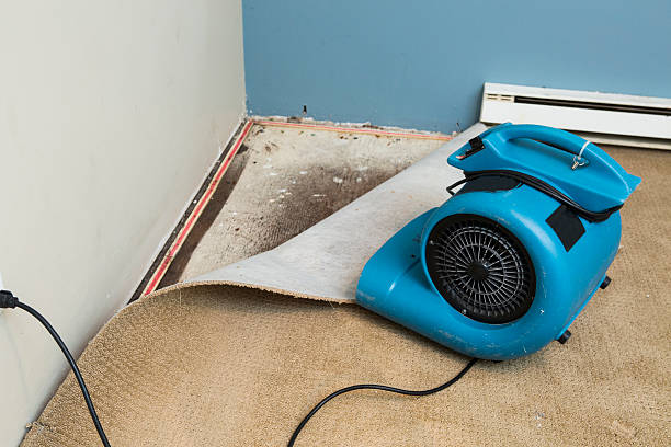 Best Ceiling water damage repair  in Interlaken, CA